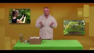 Sample Submission Plant Pathology
