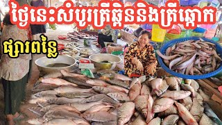 ផ្សារពន្លៃ ថ្ងៃនេះ ត្រីដែរសំបូរជាងគេ ឆ្ពិននិងឆ្កោក 🐟👍 || Freshwater Fish Market KH [Ep. 818]