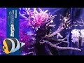 JBJ Cubey Aquarium Review by Metrokat - Marine Depot Product Test Team