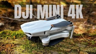 DJI Mini 4K - Best Budget Drone?