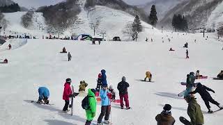 ２月２０日、「今日のグランスノー奥伊吹」✨日中からは「雪降り」もありました♪♪今は夜の雪も降っていて…久々に「嬉しい一日」です(*＾ー＾)ノ