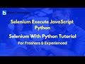 Selenium Execute JavaScript Python | Selenium With Python Tutorial For Beginners
