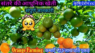 बाप रे 🙄 संतरा ही संतरा 🍊 संतरे की खेती 🏧 पैसा ही पैसा 🍎Orange farming 🤪Orange harvesting🌿कृषि दर्शन