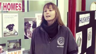 Pedigree Feeding Brighter Futures -- Meet the Team: Sharon, Battersea Dogs & Cats Home