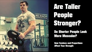 Are Taller People Stronger? How Limb Proportions and Tendons Affect Strength