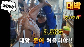 문어낚시/3.5kg 대왕문어를 만나다