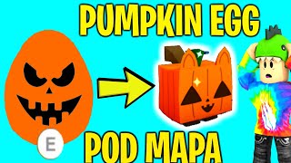 SEKRETNE JAJKO PUMPKIN EGG UKRYTE POD MAPĄ PET SIMULATOR X!? TAJEMNICZE JAJKO BUGUJE POD MAPĄ