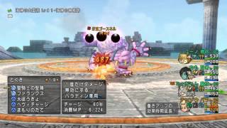 ドラクエ10 牙王ゴースネル 5分30秒20 パラ 魔法 賢者 僧侶 テンゾウ パラ視点 V3.2前期