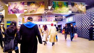 Ikebukuro in Tokyo 🐶🍻Night Anime Town♪🎍💖4K non-stop 1 hour 02 minutes