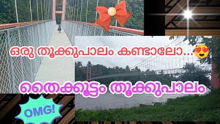 💯thaikkootam kadavu hanging bridge| തൈക്കൂട്ടം തൂക്കുപാലം 😍😱