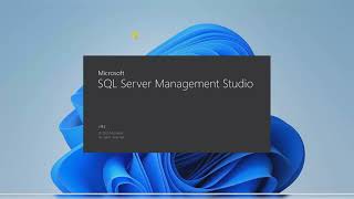Enable CDC on Database and Table SQL Server with SSMS