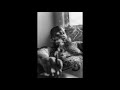 Action Bronson - Night Court