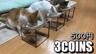 3COINSにあるお宝だゾ【安いテーブル付きの食器を買ってみたら・・・】