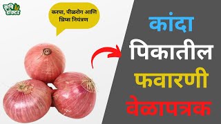 kanda favarni velapatrak | kanda favarni schedule | कांदा फवारणी वेळापत्रक