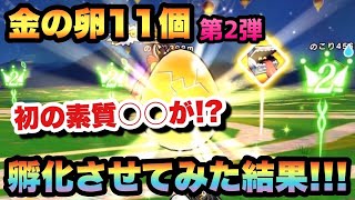 【ドラクエウォーク】またまた18000歩のあのモンスターが！？初めての優以外のモンスターも！？金の卵11個を孵化させてみた結果…【ドラゴンクエストウォーク】