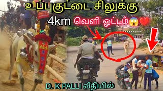 உப்புகுட்டை சிலுக்கு💥4km வெளி ஓட்டம் 😱💔 BIKELA சேசிங்  D. K PALLI வீதியில் #viral #trending #vmtvlog