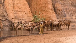 Gourane : Tchegueni de Wordougou Allafouza