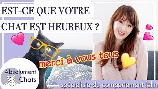 Est ce que votre chat est heureux ? spéciale 10 000 abonnes !