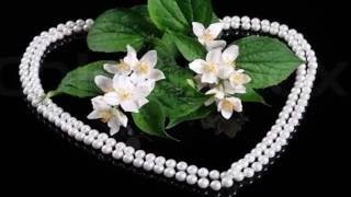 Elegant Jasmine Flowers (HD1080p)