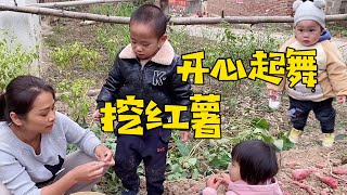 Grandma digs sweet potatoes, Lele Xiaofengfeng and sister come to help