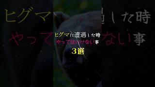 【ヒグマに遭遇した時やってはいけない３選】 #ヒグマ #遭遇 #危険生物  #動物 #雑学 #豆知識 #トリビア #shorts