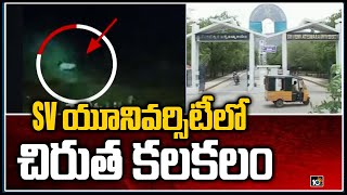 SV యూనివర్సిటీలో చిరుత కలకలం | Leopard Hulchul in SV University | Tirupati | 10TV News