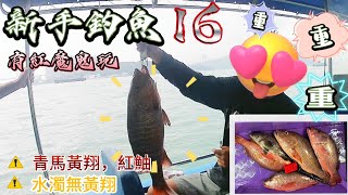 【釣魚篇】＃16 西水青馬黃翔同紅鮋🤪 水濁竟然無黃翔🫣 好彩都有隻係3～6斤紅鮋😅