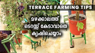 മഴക്കാലത്ത് ടെറസ്സ് കേടാവാതെ കൃഷിചെയ്യാം | Terrace Farming Tips | Organic Terrace Farming