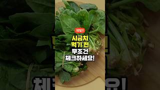 시금치 조리 전 무조건 체크하세요! - 조리법 안전하게 익히는 방법