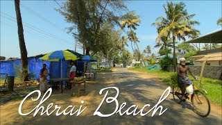 One  of the best beaches in South India - Cherai Beach