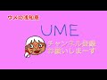 【３分でわかる、いちじくジャムの作り方】季節の恵　いちじく