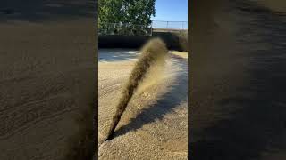 Liquid Manure!