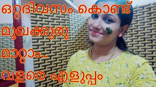 മുഖക്കുരു പെട്ടന്ന് മാറാനുള്ള എളുപ്പ വഴി /How to remove pimples overnight