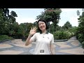 singapore botanic gardens learning forest an nparks virtual tour