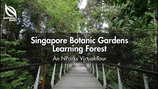 Singapore Botanic Gardens Learning Forest | An NParks Virtual Tour