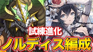 【試練進化】ペルセポネが試練進化！正月ノルディス超簡単編成！【パズドラ】