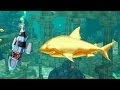 Hungry Shark Evolution Robo Shark Android Gameplay #21
