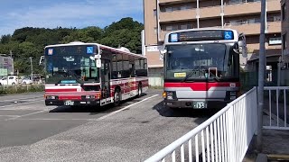 東急バス虹が丘営業所いすゞエルガワンステップバスNJ1248号車柿生駅北口にて、