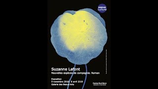 Suzanne Lafont - Nouvelles espèces de compagnie. Roman