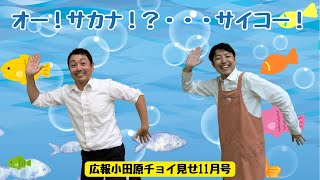 広報小田原チョイ見せ11月号（2024年）