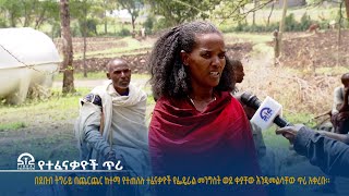 ተፈናቃዮች ወደ ቦታቸው እንዲመለሱ ጠየቁ።