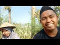 saya ceritakan tentang malaysia di kebun bersama istri