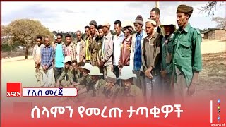 በሰሜን ጎንደር ዞን የሰላም አማራጭን የተቀበሉ  ታጣቂዎች