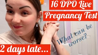 16 DPO Live Pregnancy Test//Officially 2 days late & still no period// Confused about the situation