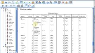 S01E04-1-5 SPSS Basics - Codebook