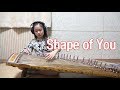 Ed Sheeran - Shape of You Gayageum Cover [go-eun]