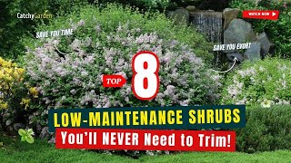 TOP 8 Shrubs You’ll NEVER Need to Trim! 🌱✂️🌼 | Save You TIME and EFFORT!