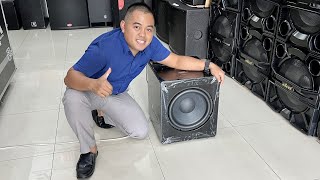 Subwoofer HOREG 12inc Produk STARBOSH HK-116