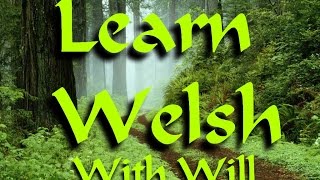 Learn Welsh with Will Ep13. I'm learning Welsh & I don't understand