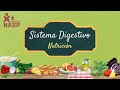 UNIDAD 22: 1. Sistema Digestivo | Nutrición | Grupo 6 TEC-ODO TM